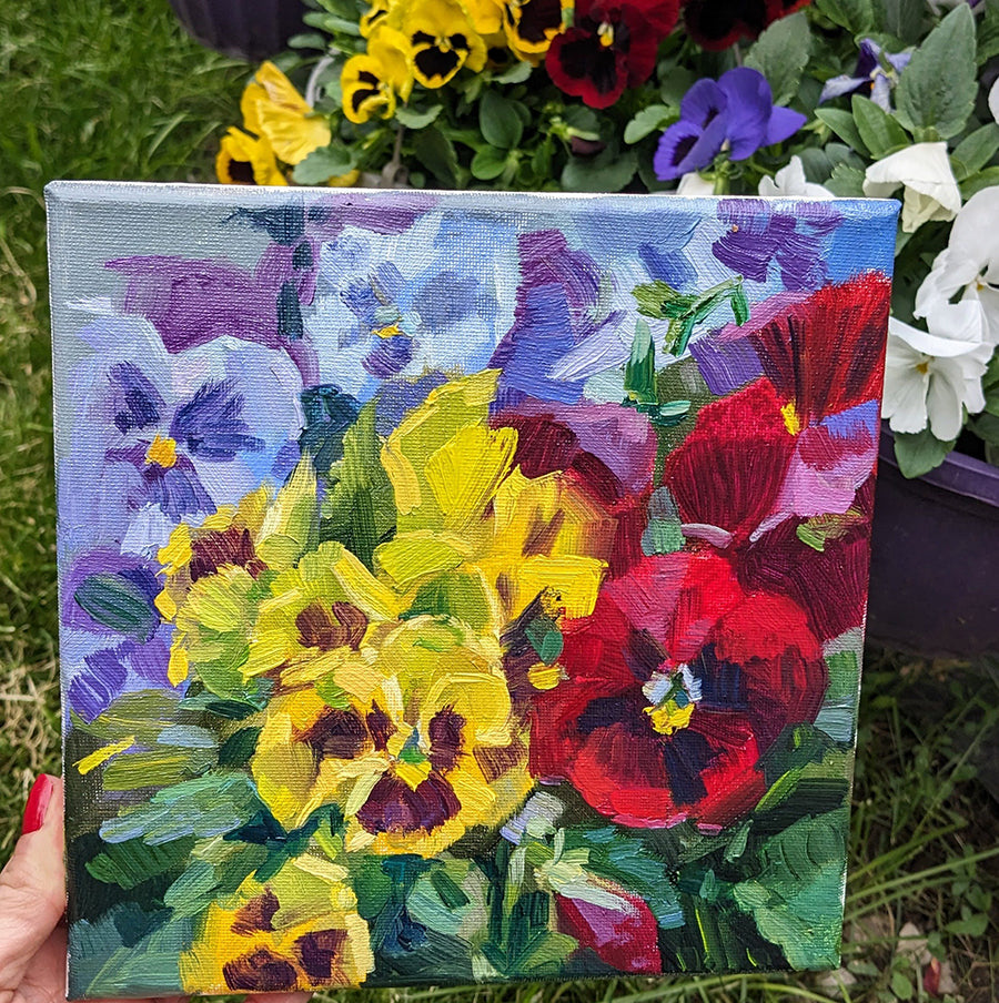 Red and yellow pansies