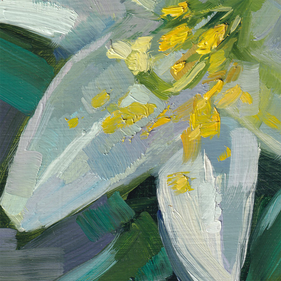 White Lily