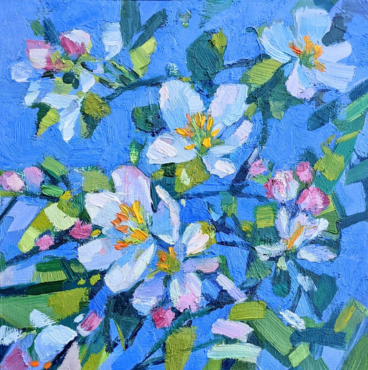 Apple Blossoms