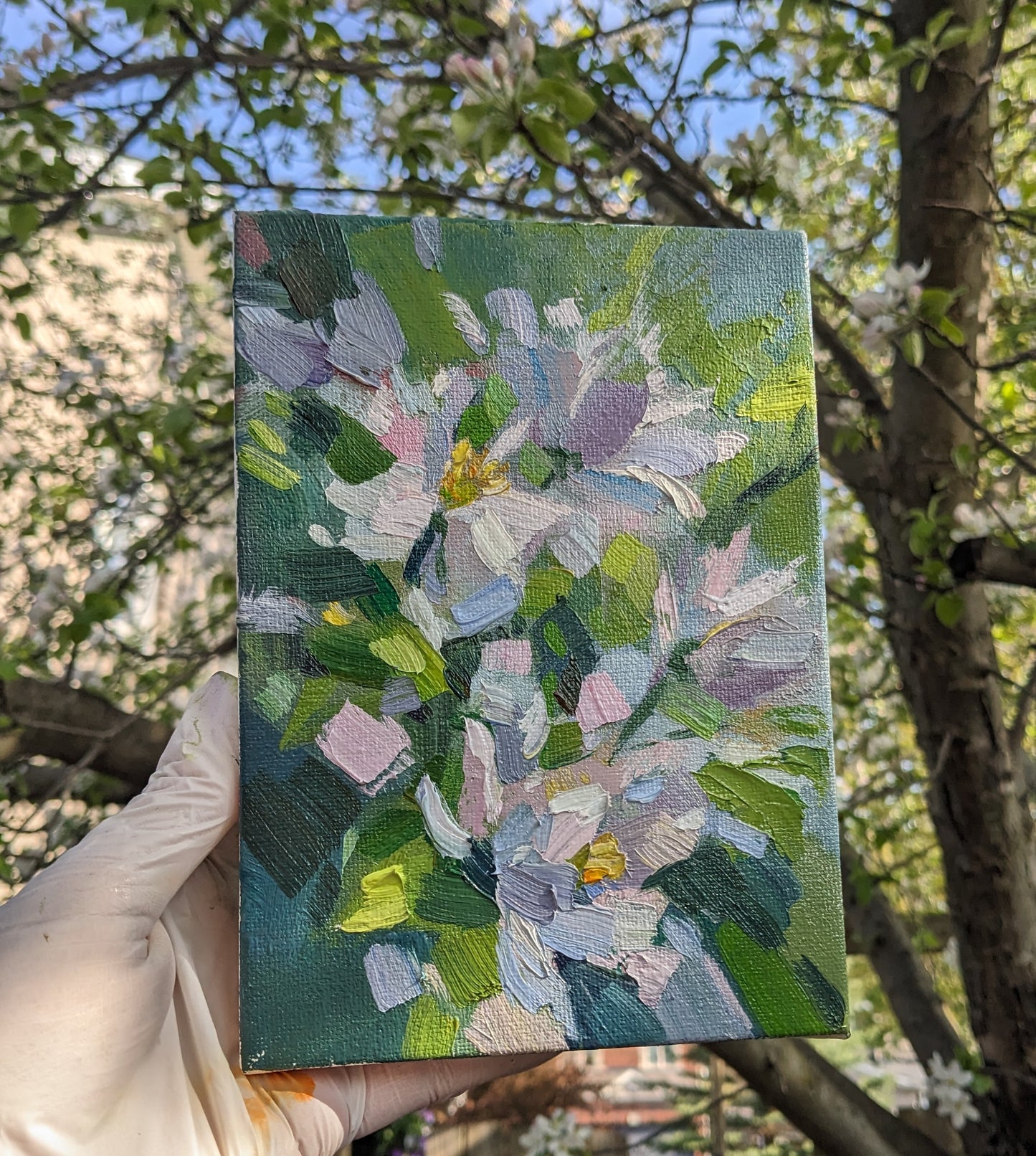 Apple tree in bloom I