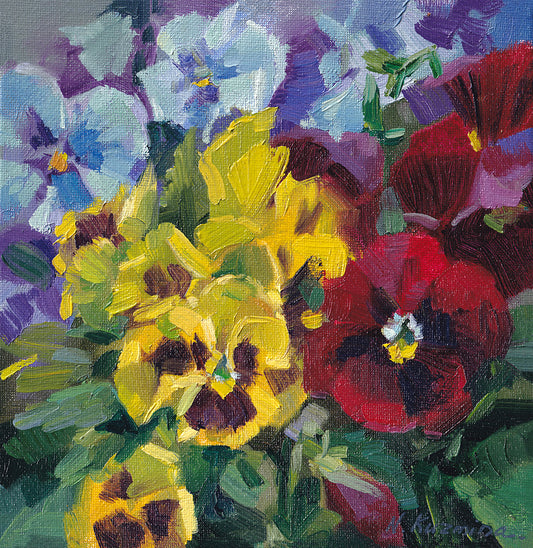 Red and yellow pansies