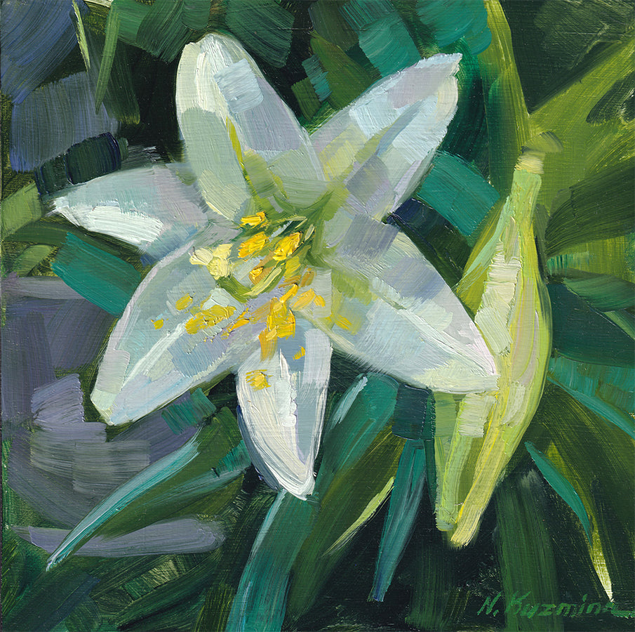 White Lily