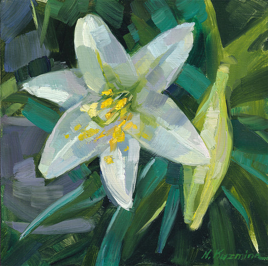 White Lily