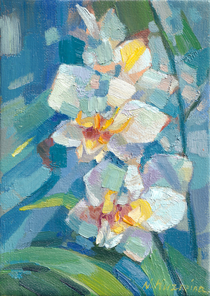 White orchid on blue