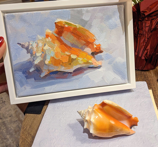 Cuban seashell